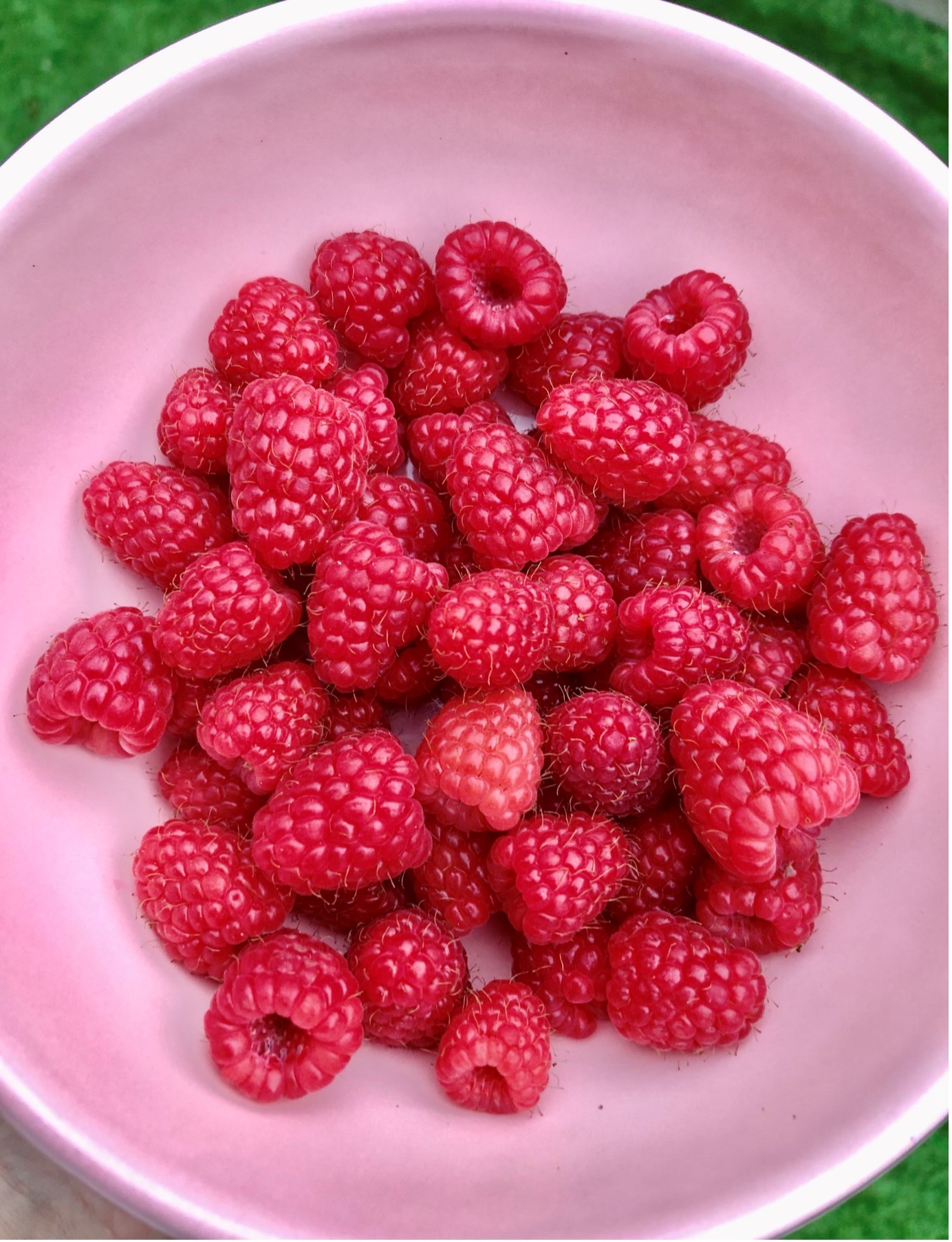 Raspberries Power Smoothie Stella Nutrition